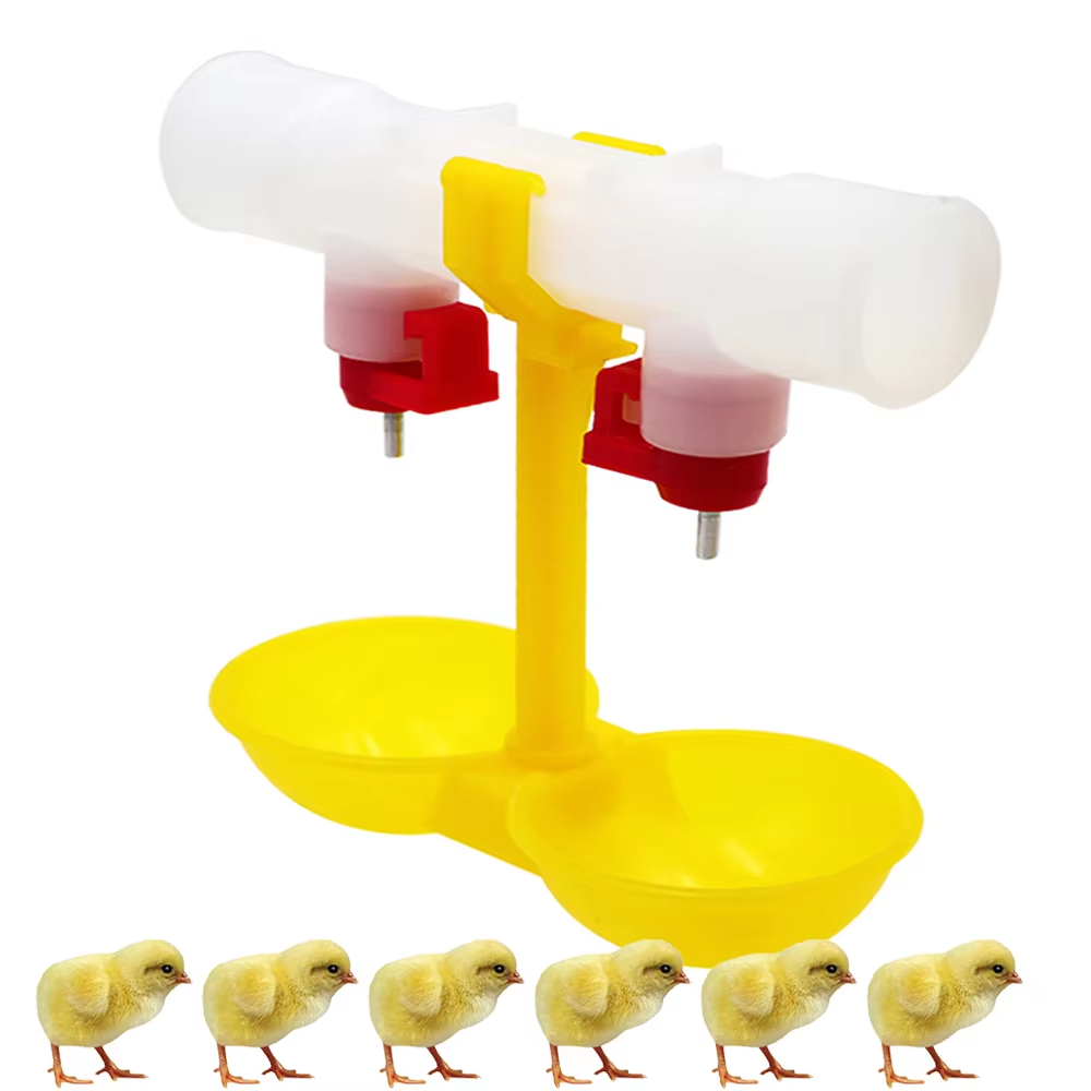 5/10/20Pcs Chicken Double Head - Zwitsal Baby Products incelemesi ve fiyatı