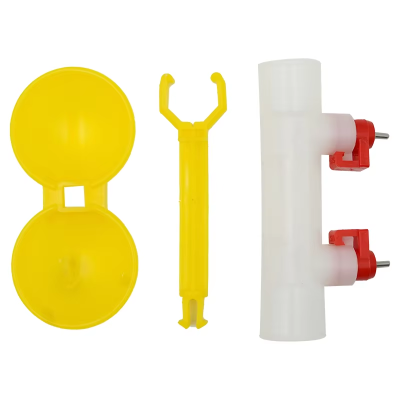 5/10/20Pcs Chicken Double Head - Zwitsal Baby Products incelemesi ve fiyatı