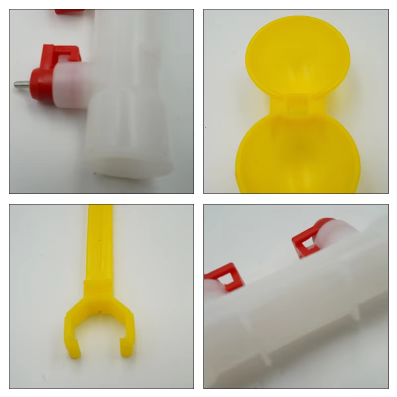 5/10/20Pcs Chicken Double Head - Zwitsal Baby Products incelemesi ve fiyatı